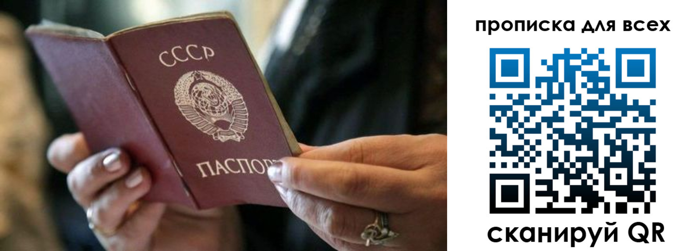 прописка в Боготоле
